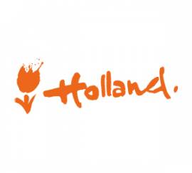 Holland Tulp