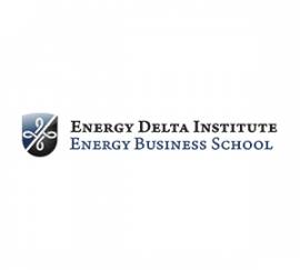 Energy DeltaInstitute